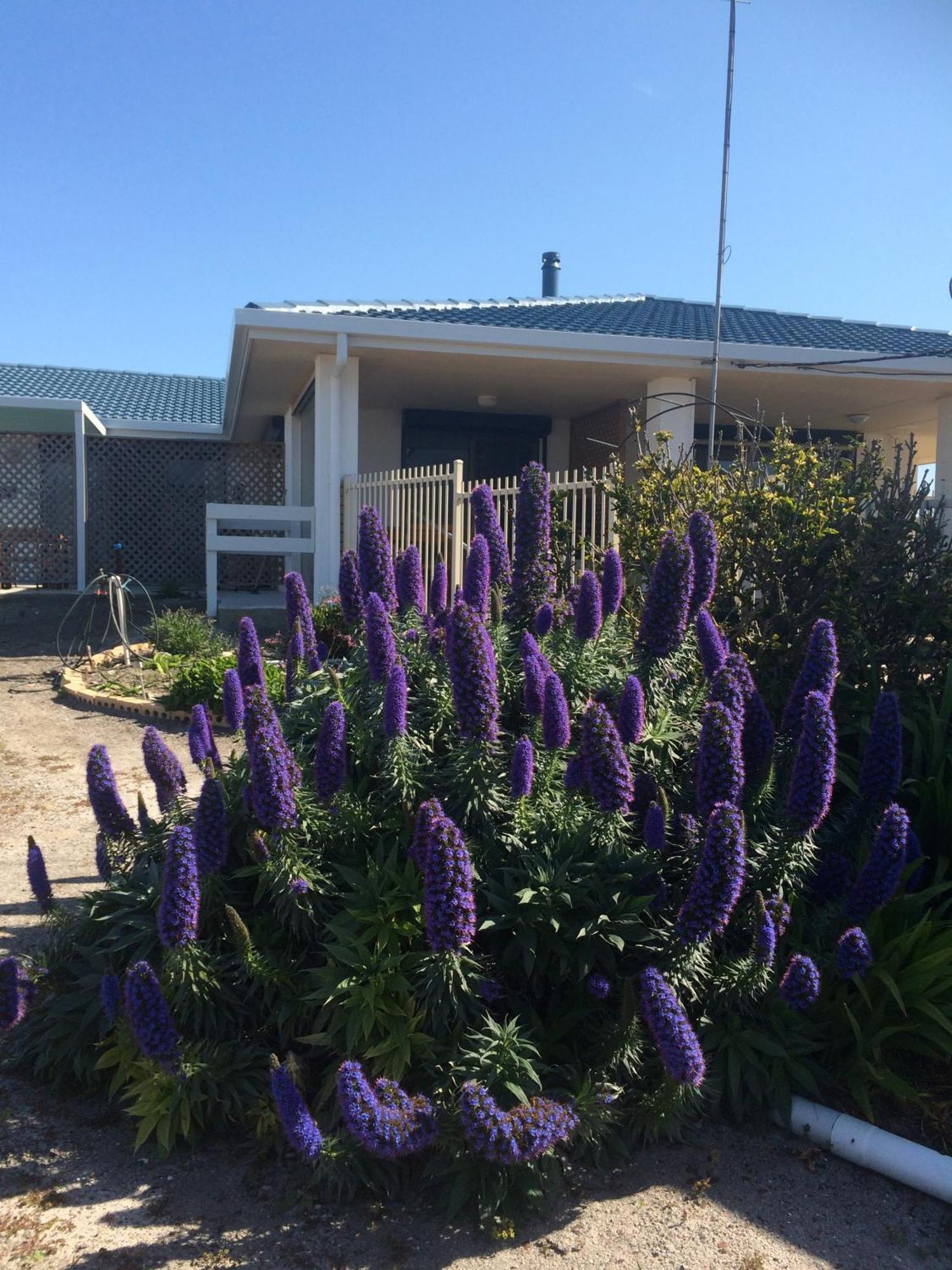 Salty Air Apartments Kingscote Kangaroo Island ภายนอก รูปภาพ